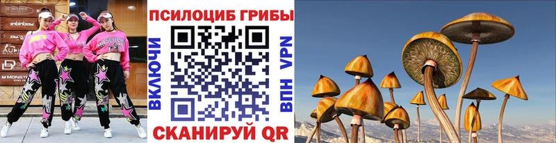Псилоцибиновые грибы GOLDEN TEACHER  mega   маркетплейс телеграм  Игра 